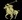 PoloRalphLauren